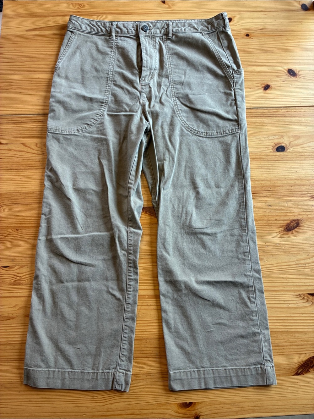 Patagonia Tan Standup Straight-Leg Pants